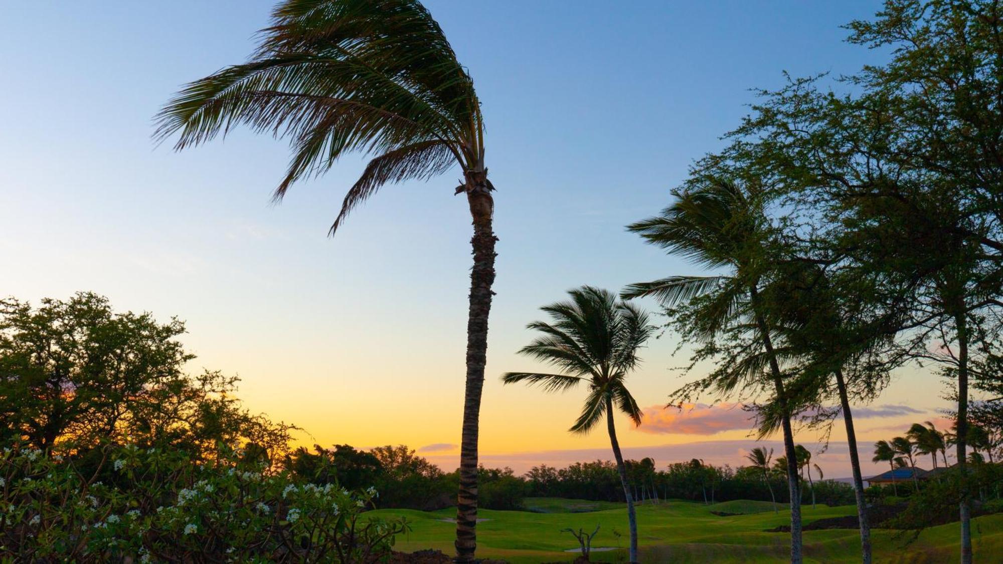 Hawaii Roma Elevated 4Br Kamilo Home With Golf Course View Waikoloa Buitenkant foto