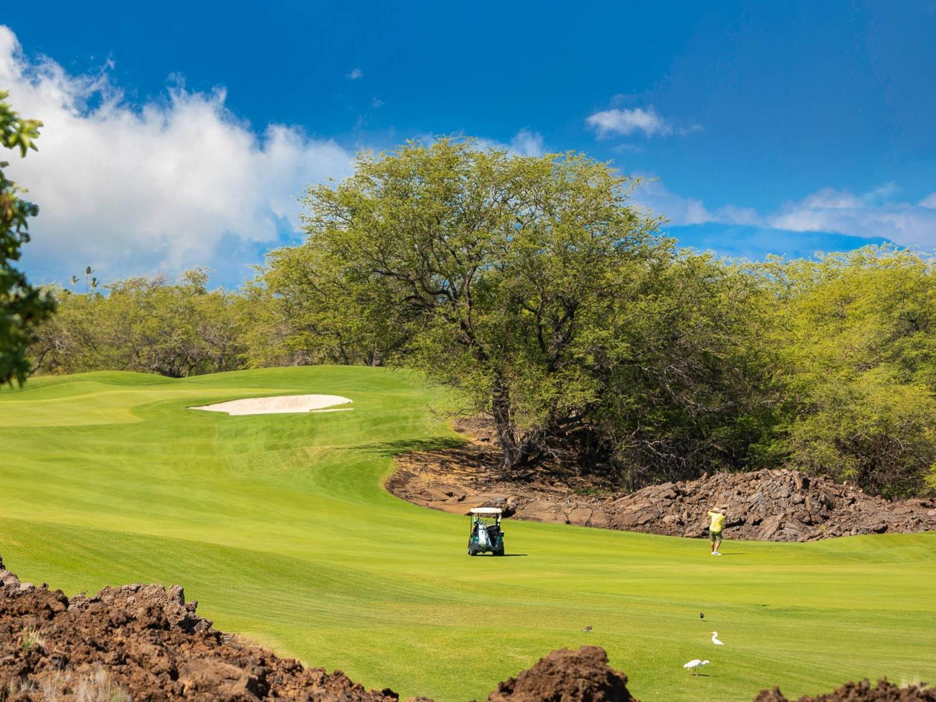 Hawaii Roma Elevated 4Br Kamilo Home With Golf Course View Waikoloa Buitenkant foto